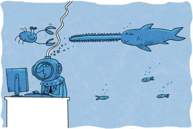 Kadry i Płace w Administracji lipiec-sierpień 2024 tn